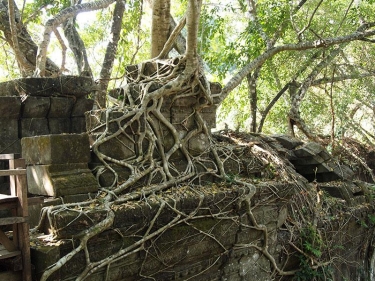 Cambodia Motorbike Adventure